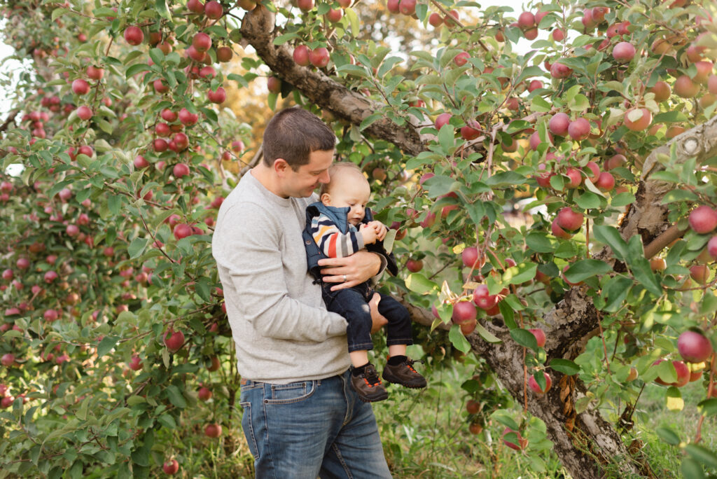 Father and son picking apples at Wallingfords Apple Orchard in Auburn Maine.