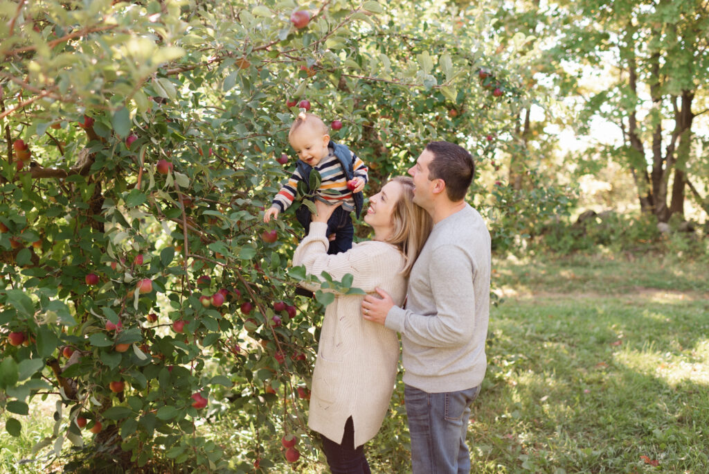 Family of three picking apples
