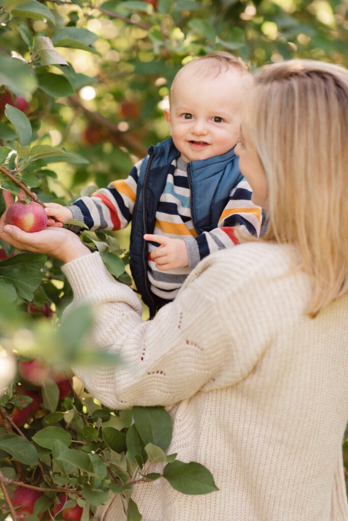Maine Photographer picking apple with her 1 year old son