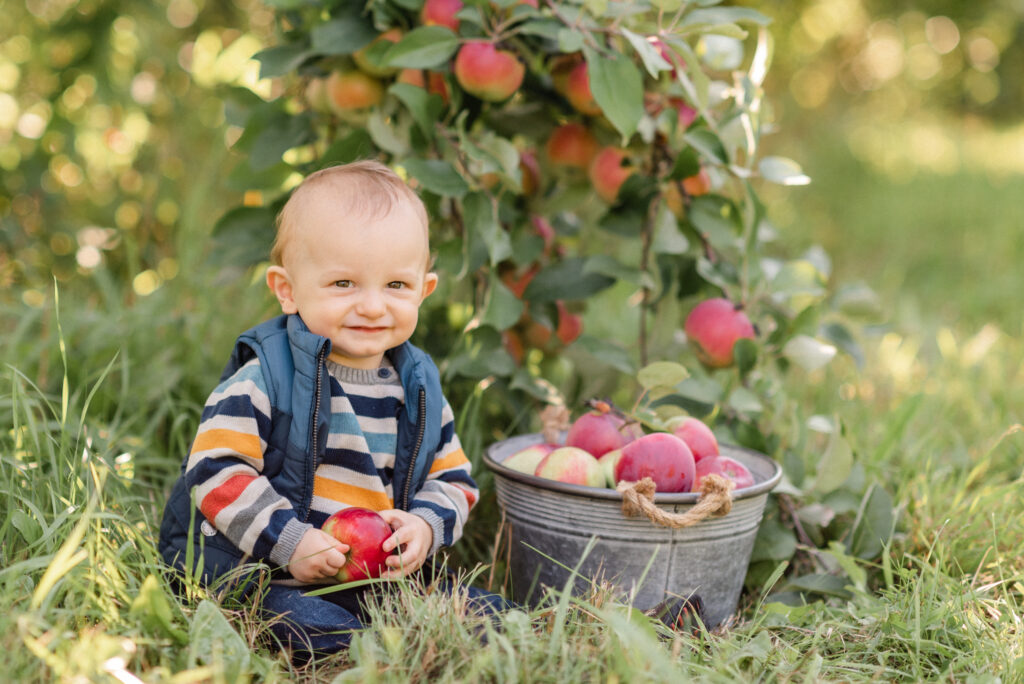 One year old apple picking for the first time.